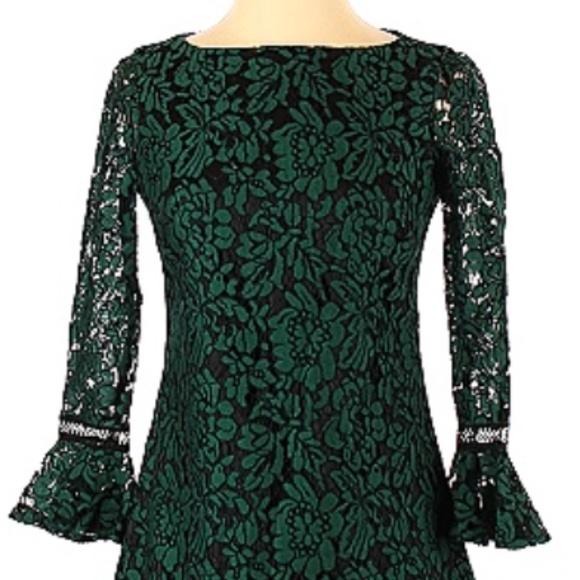 Eliza J | Dresses | Eliza J Green Flare Sleeve Lace Shift Dress | Poshmark